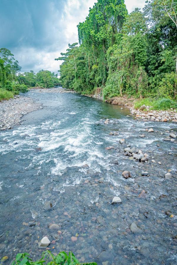 Hotel Los Rios Guacimo  ภายนอก รูปภาพ