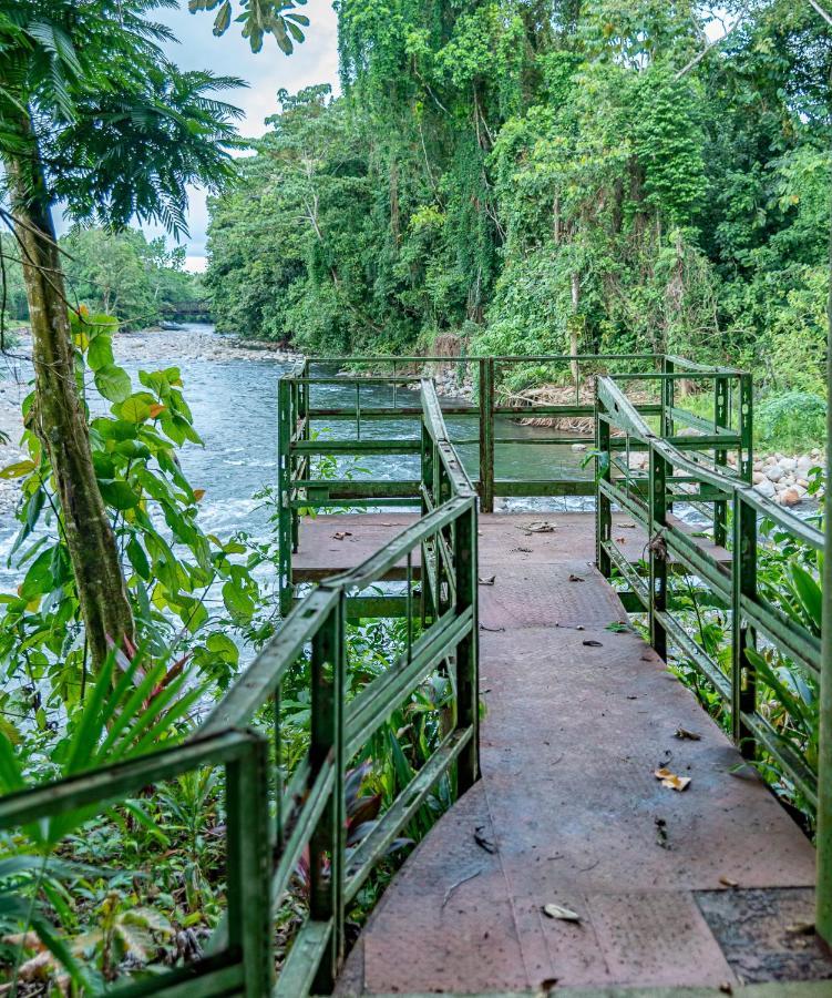 Hotel Los Rios Guacimo  ภายนอก รูปภาพ